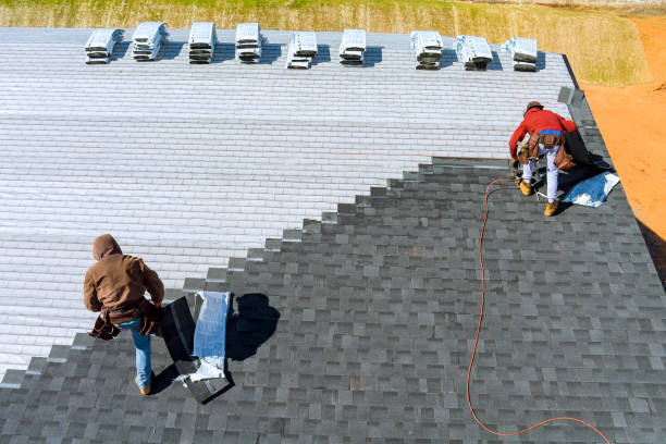 Best Storm Damage Roof Repair  in Williston, FL